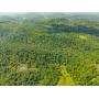 Premier Noble County Hunting Property
