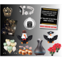 Homewares- Seasonal, Faux Floral, Decor and More