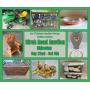Birch Road Online Auction