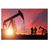 Mineral Interests in 4 Counties Selling to the Highest Bidders