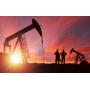 Mineral Interests in 4 Counties Selling to the Highest Bidders