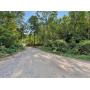 138 Surveyed Acres in Boone County Selling to the Highest Bidder