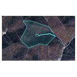 60 Acres with Mineral Interests & Timber Near Charleston