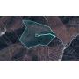 60 Acres with Mineral Interests & Timber Near Charleston