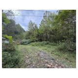 18.8 Surveyed Acres in Boone County Selling to the Highest Bidder 