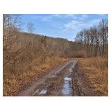 Beautiful 50 Fee Acres with 600 of Native Trout Stream 