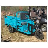 new electric cart