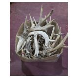 Box of Antlers