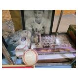 Tigers Baseball Memorabilia>