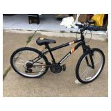 GRANITE PEAK ROADMASTER BIKE