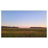 Agness Farm