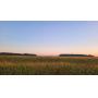 Agness Farm