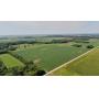 Wilfong - Newton County