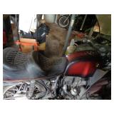 BMW bike 