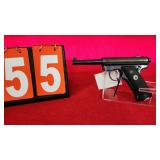Ruger 22