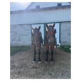 Lot#20-21