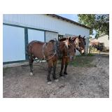 Lot#20-21
