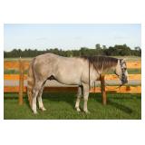 Lot#465