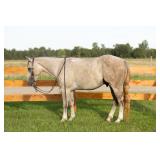 Lot#465