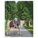 Lot#434