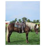 Lot#463