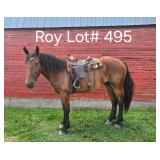Lot#495