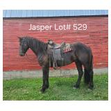 Lot#529