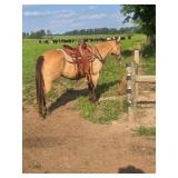 Lot#427