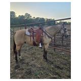 Lot#427