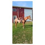 Lot#481