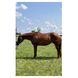 Lot#568