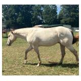 Lot#453