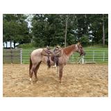 Lot#490