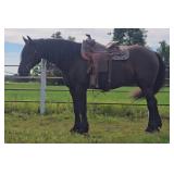Lot#493