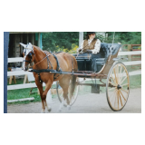 Justin Carriage, show style Road cart, excellent cond.