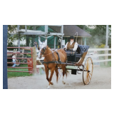 Justin Carriage, show style Road cart, excellent cond.