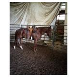 Lot#444