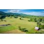 38 Acre Absolute Farm Auction