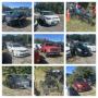 Norfolk Police Auction