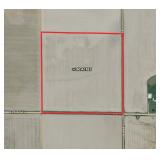 Carter Trust Land Auction