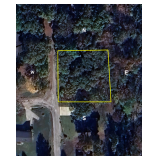 No Reserve Online Only Residential Lot Auction TEUTOPOLIS, ILLINOIS