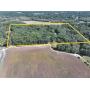 40 Acre Online Auction 2 homes large trees Fayette County, IL