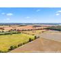 Waldo & Cardington, OH - 237 Acre Farm - Live Multi-Parcel Auction - 5 Tracts