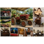 ONLINE ONLY AUCTION