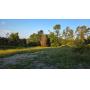 149 Wooded Acres in Fayette County Pennsylvania
