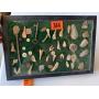 Antiques, Coins, Sports Cards, & Collectibles