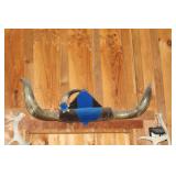 Cattle Horns 