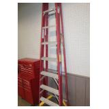Werner Ladder