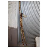 Walking Sticks