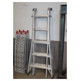 Folding Ladder